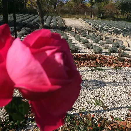 Πανσιόν Aromatique *
