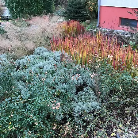 Πανσιόν Aromatique Sumegcsehi